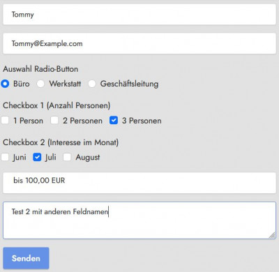 Formular 2.JPG