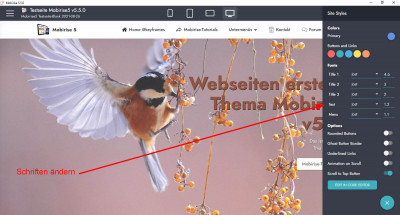 Site-Style.JPG