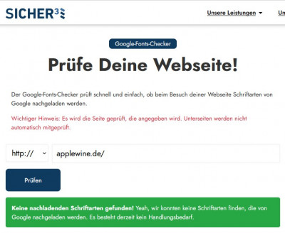 Keine Google Fonts gefunden.jpg