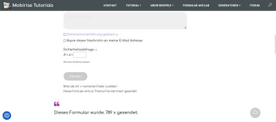 Counter für Formular.jpg