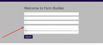 Form-Builder NicheM5 Typ Select.jpg