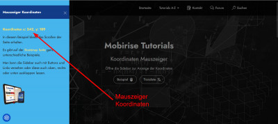 Mauszeiger Koordinaten.jpg