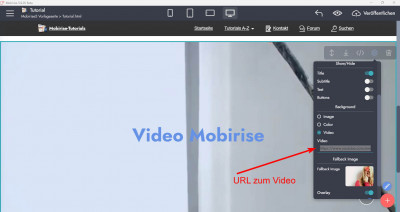 Video-URL.jpg