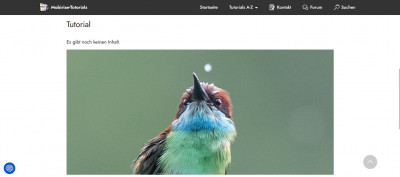 Bild im Iframe.jpg