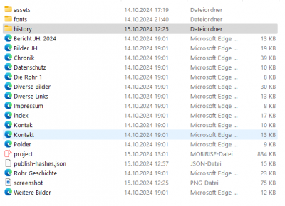 Screenshot 2024-10-15 Mobirise1.png