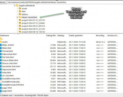 Screenshot 2024-11-20 173017.jpg
