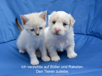 Kein Feuerwerk.jpg