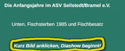 Screenshot 2025-01-19 115502.jpg