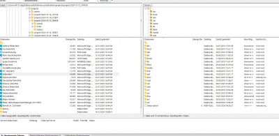 FileZilla ganze Seite.jpg