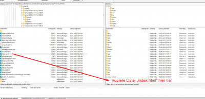 FileZilla ganze Seite.jpg