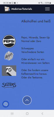 Ansicht am Handy.jpg
