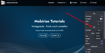 URL-Auswahl.png