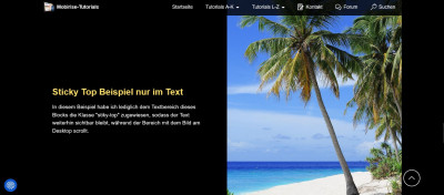 Nur Text Sticky-Top.jpg