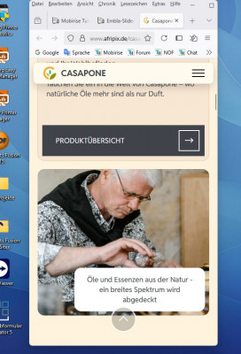 Browser.jpg