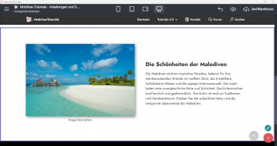 Mobirise-AI generierter Block mit Schlagschatten.jpg