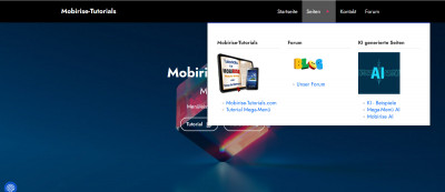 Ansicht Mega-Menü am Desktop.jpg