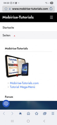 Mega-Menü Tommy.jpg