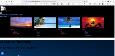 Mega-Menü-Seite mit Mobirise publiziert.jpg