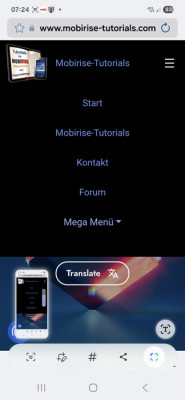 Mega-Menü von Volker nach Korrektur am Handy.jpg