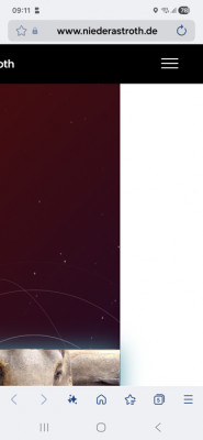 Geänderter Würfel - Overflow am Samsung Internet Browser.jpg