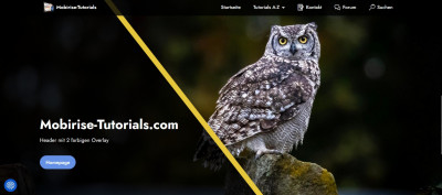 Overlay-Header von Volker am Desktop.jpg