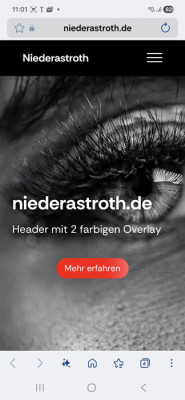 Volker neue Handy-Ansicht zweifarbiges Overlay.jpg