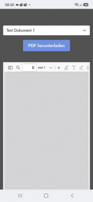 Samsung Browser - leeres Frame.jpg