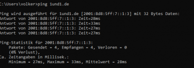 ping 1und1.png